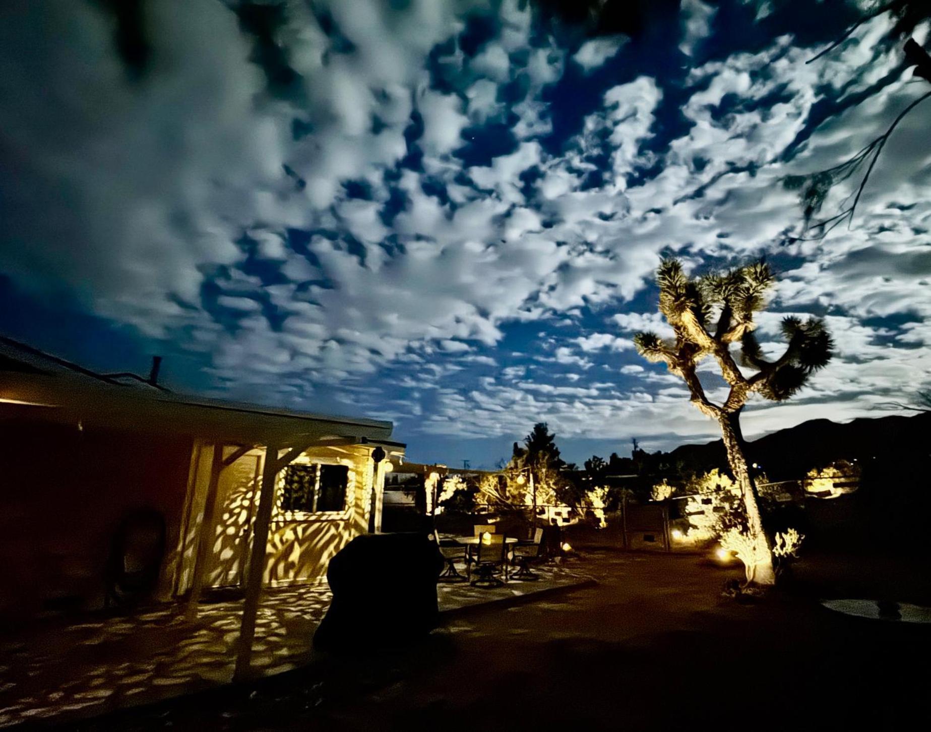 Float Pool, Hot Tub, Sauna, Views, Telescope-Skywatchers Haven Joshua Tree Exterior photo