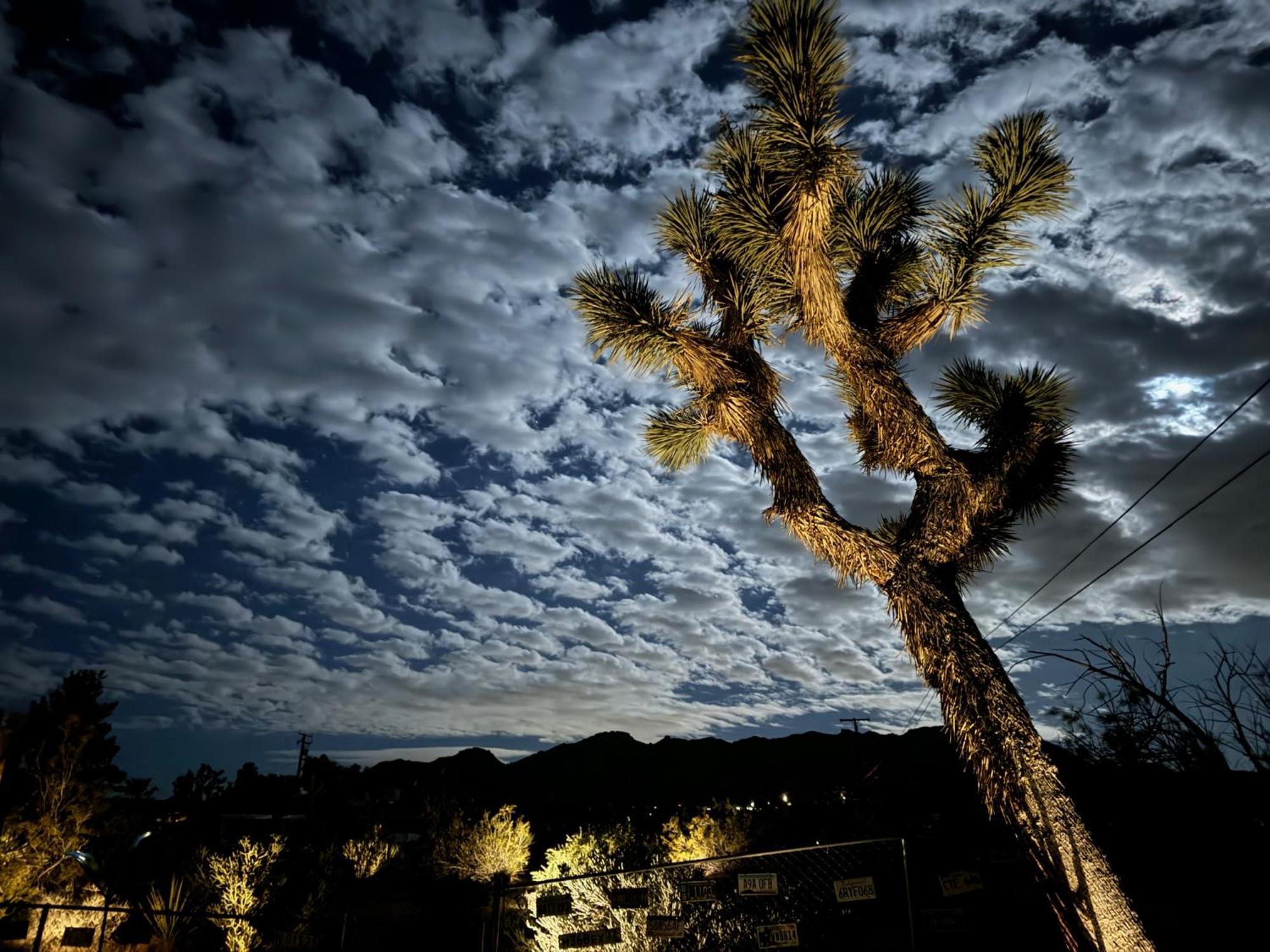 Float Pool, Hot Tub, Sauna, Views, Telescope-Skywatchers Haven Joshua Tree Exterior photo