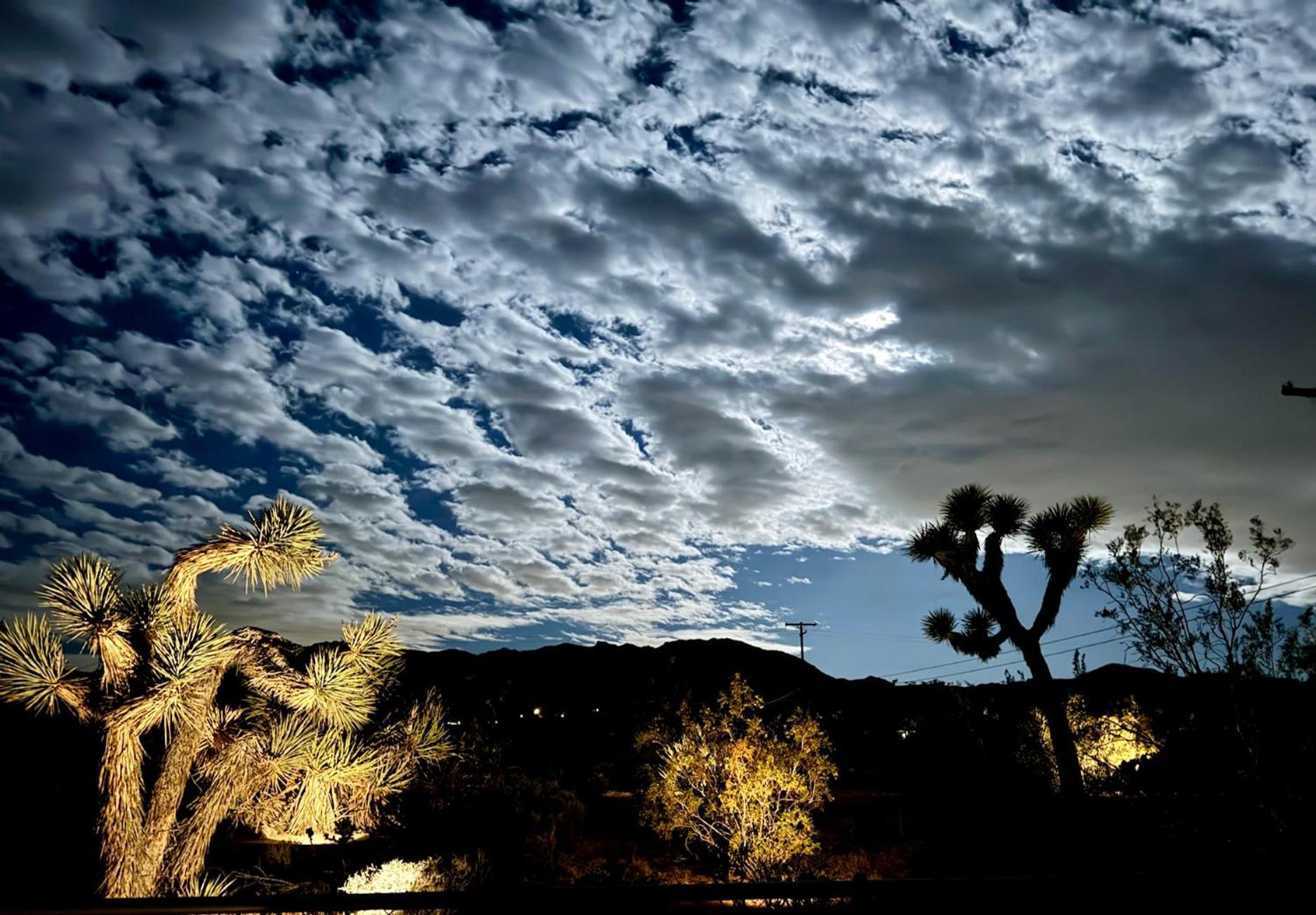Float Pool, Hot Tub, Sauna, Views, Telescope-Skywatchers Haven Joshua Tree Exterior photo