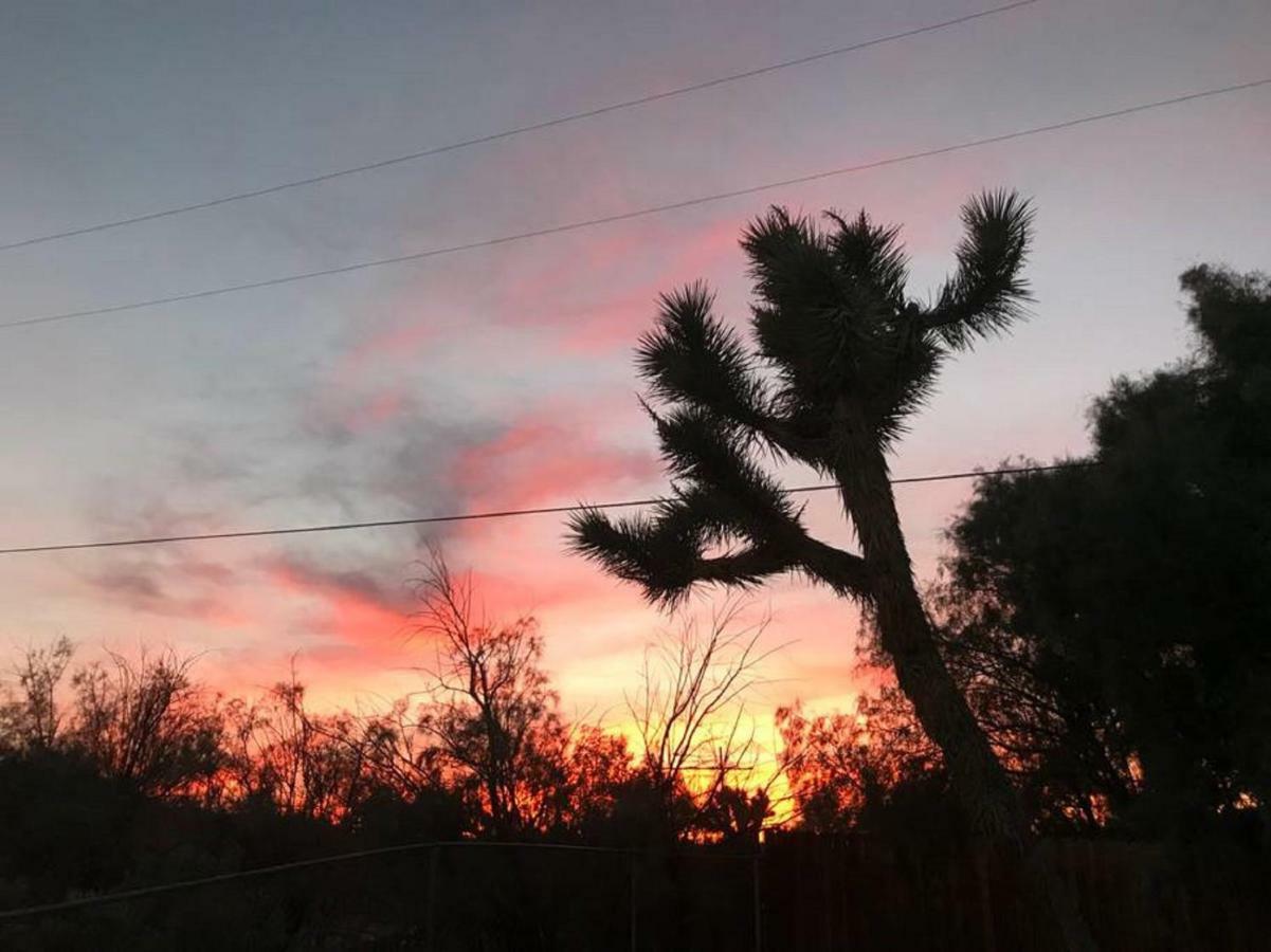 Float Pool, Hot Tub, Sauna, Views, Telescope-Skywatchers Haven Joshua Tree Exterior photo