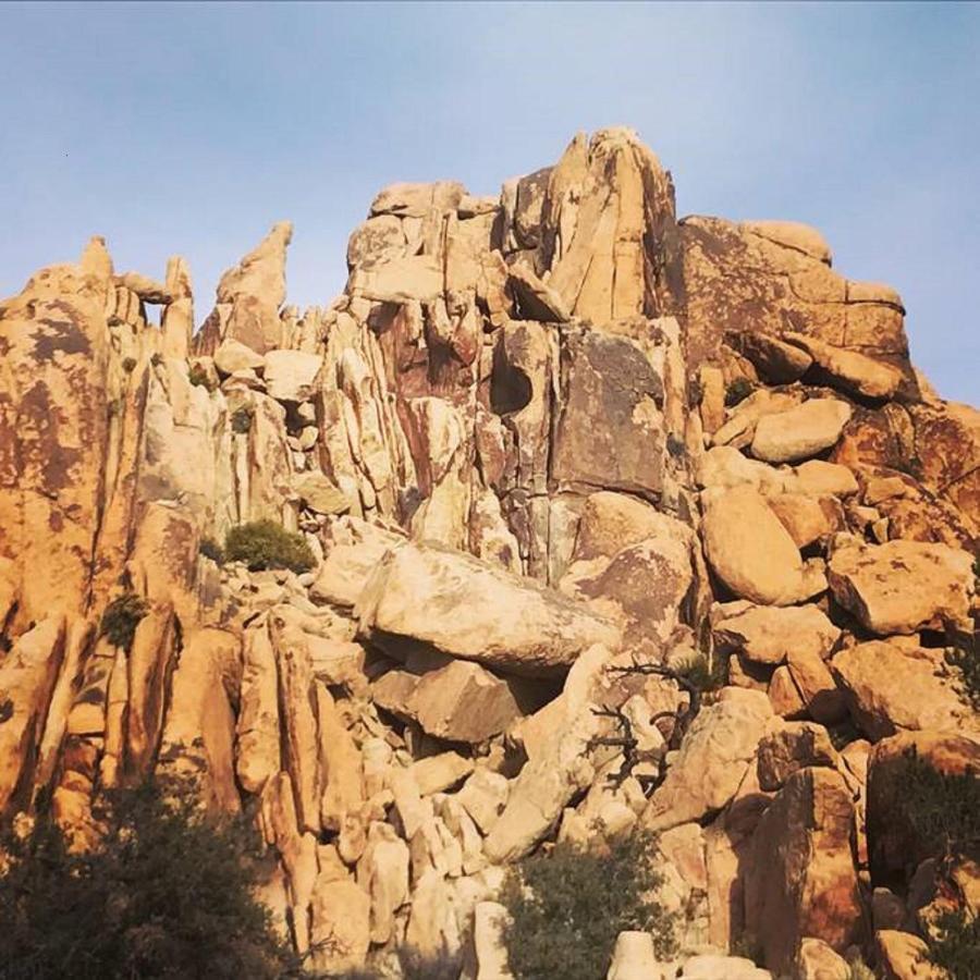 Float Pool, Hot Tub, Sauna, Views, Telescope-Skywatchers Haven Joshua Tree Exterior photo